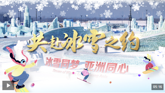 两支上海球